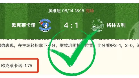2026法甲夏季转会风云大发彩票快三避坑：阿克利乌舍以5000万欧领跑标王榜，费兰紧随其后以4850万欧居次
