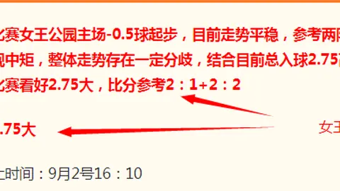 2026女篮对决，西班牙轻取对手的奥秘解析